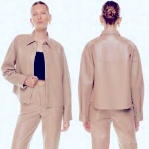 Aritzia babaton cropped Pelli leather shirt jacket